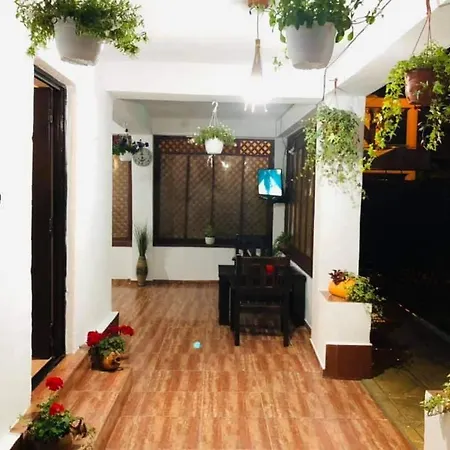 Tami Homestay Costinesti