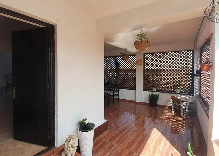 Tami Проживание в семье Костинешти