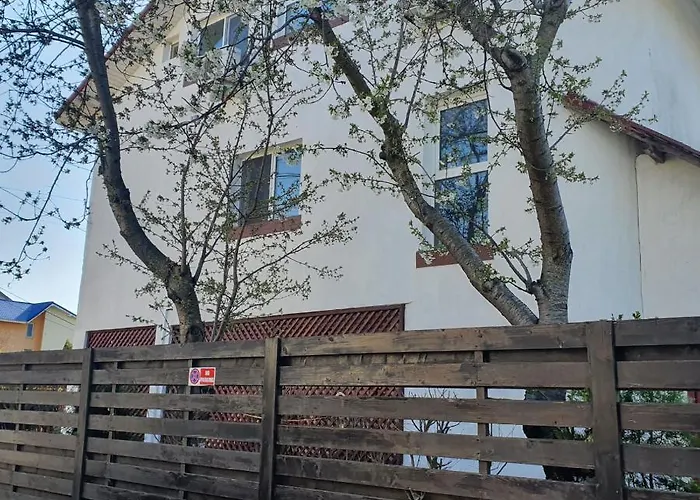 Проживание в семье Tami