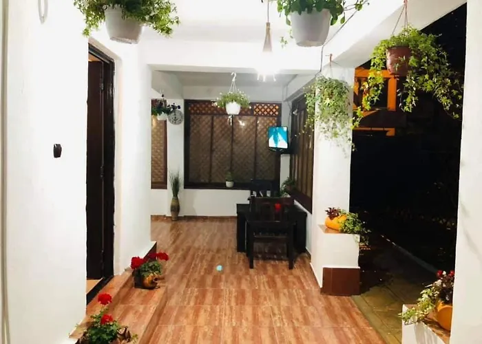 Tami Проживание в семье Костинешти