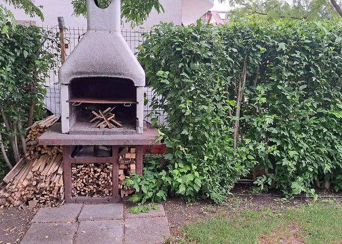 Tami Проживание в семье Костинешти