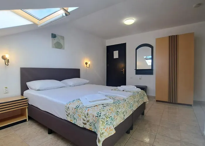 Tami Проживание в семье *