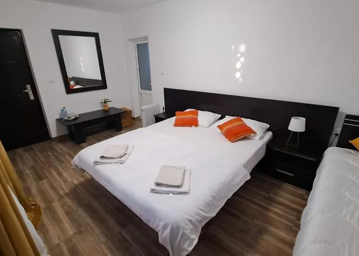 Проживание в семье Tami Костинешти