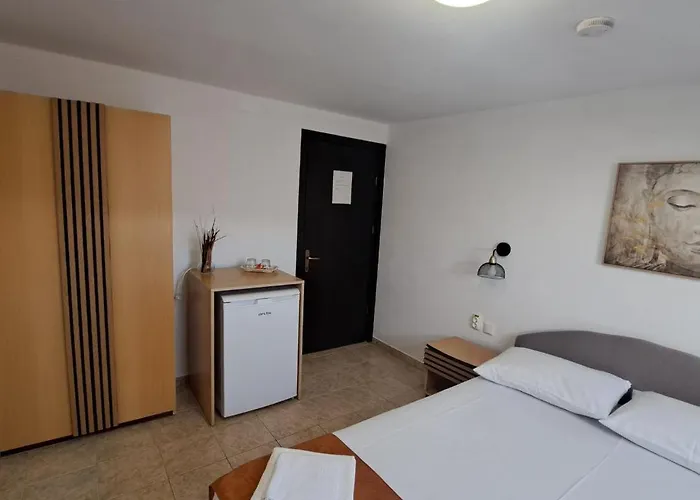 Tami Проживание в семье Костинешти